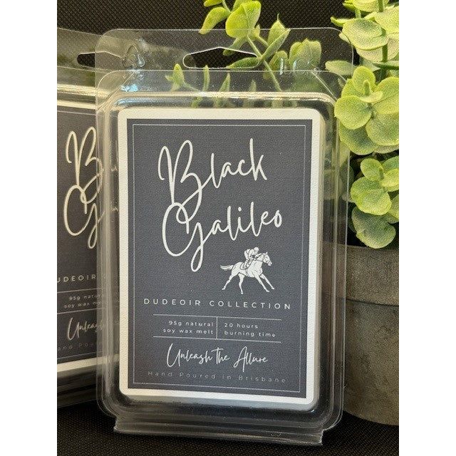 Dudeoir Collection - Black Galileo Coconut Soy Wax Melt