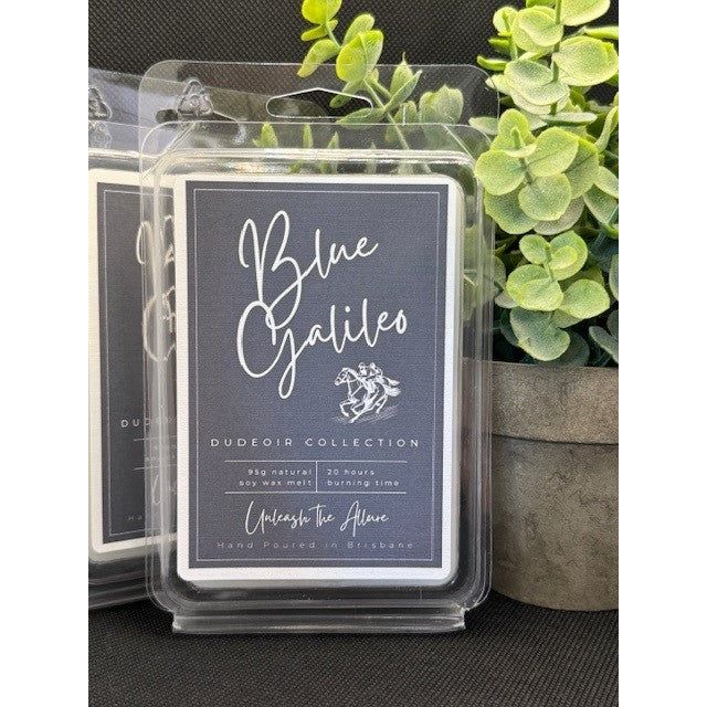 Dudeoir Collection - Blue Galileo Coconut Soy Wax Melt