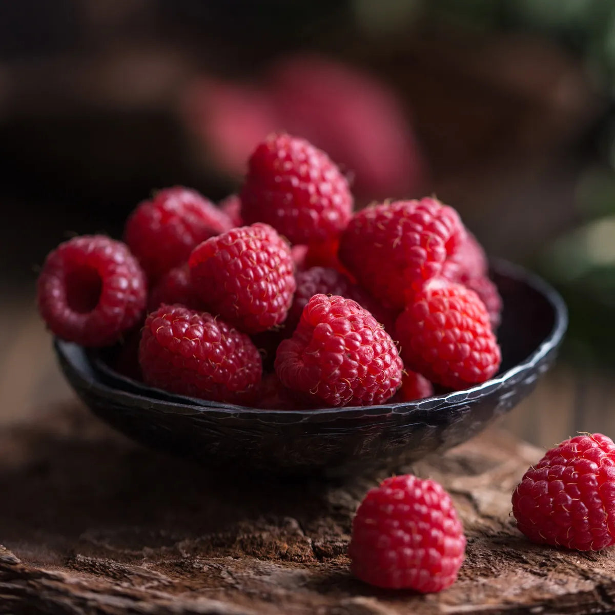 Boudoir Collection - Raspberry Dream