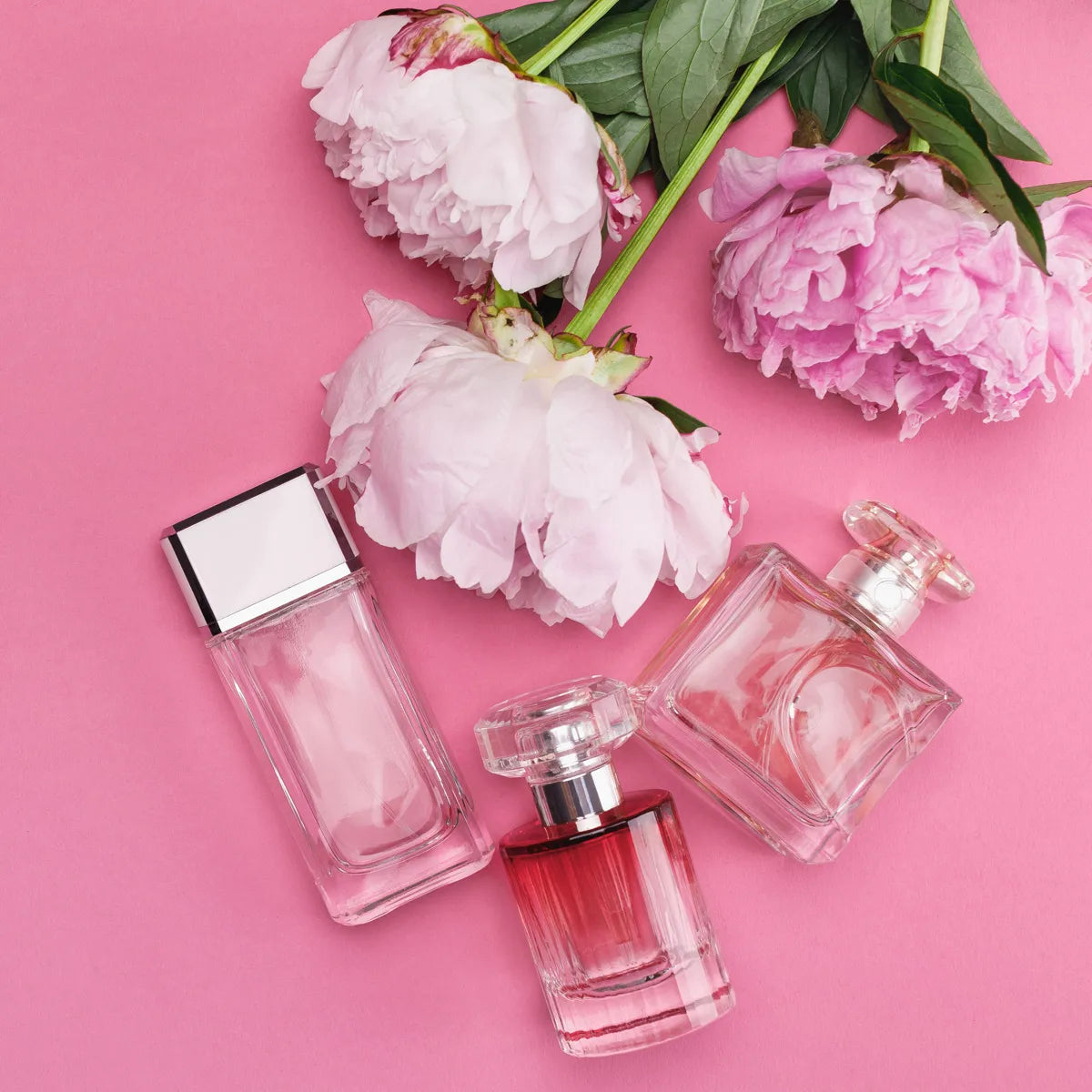 Boudoir Collection - English Peony & Blush Suede